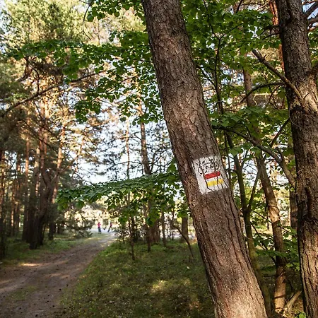 Jurajski Krysztal